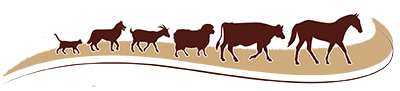 chisholm-trail-veterinary-clinic-lockhart-texas-logo-icons-only copy